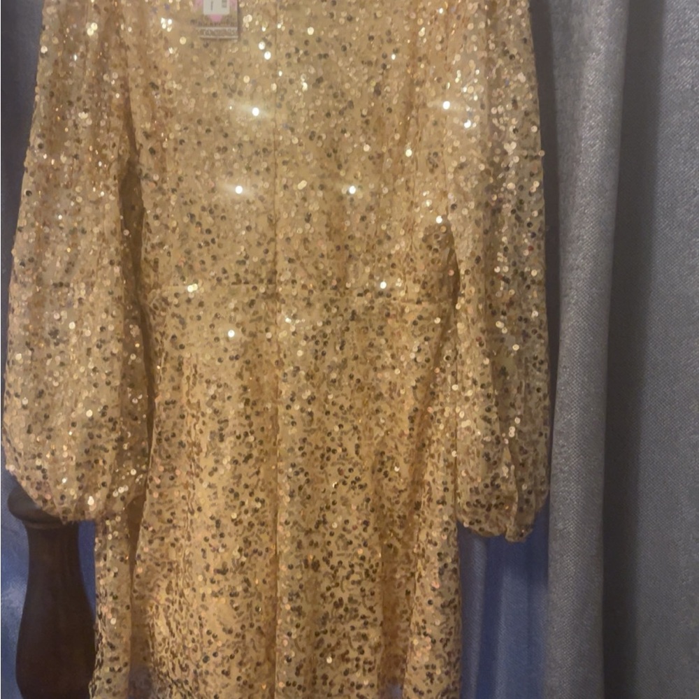 Gold Sequin Dress - Picture 2 of 4
